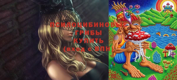 каннабис Осташков