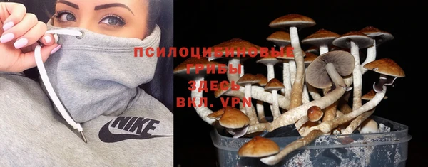 винт Остров