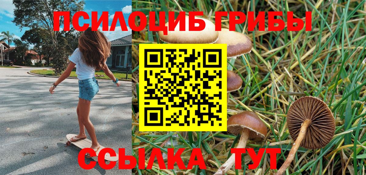 Галлюциногенные грибы Cubensis  Галлюциногенные грибы прущие грибы  где купить   Североморск  Вход с VPN 