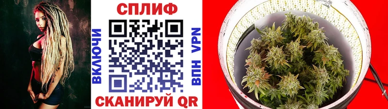купить наркотики цена  сайты даркнета какой сайт  Шишки марихуана план  Североморск 